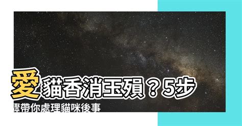 圓稼 北斗|北斗七星何時助你脱單？